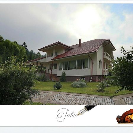 Pensiunea Aurora Izvorul Muntelui Bicaz Dış mekan fotoğraf