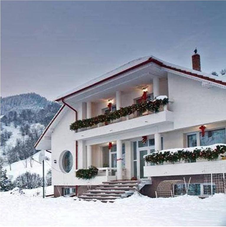 Pensiunea Aurora Izvorul Muntelui Bicaz Dış mekan fotoğraf