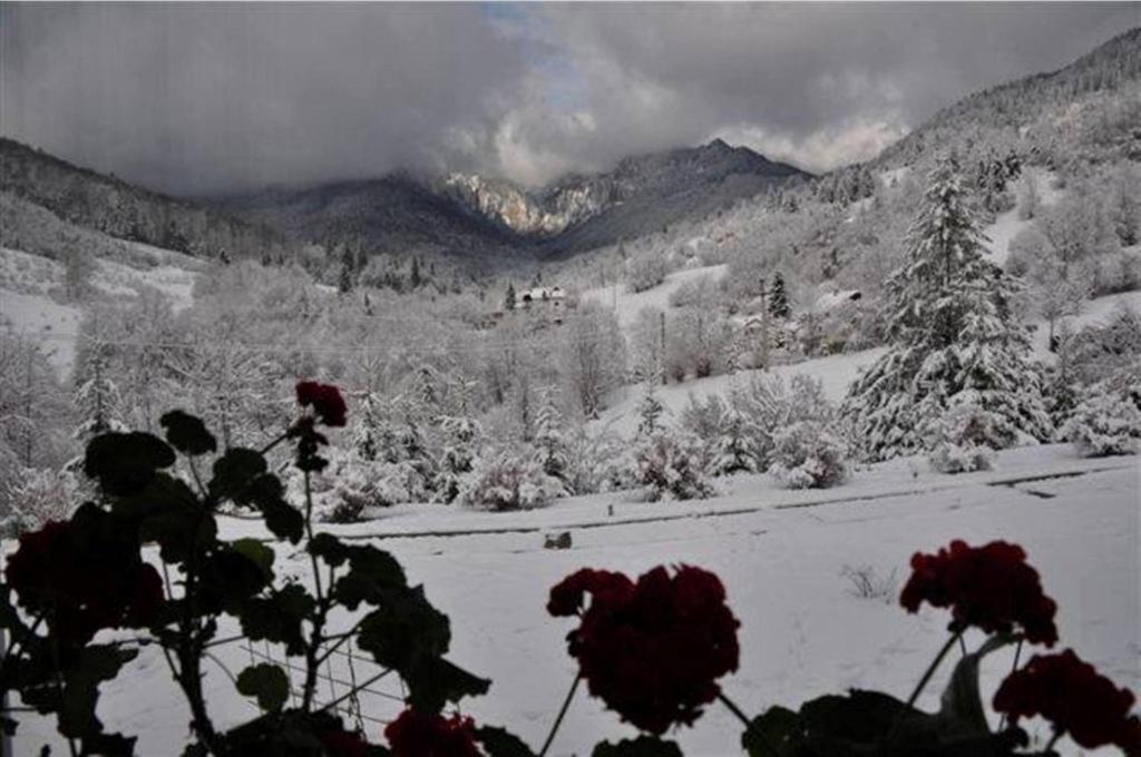 Pensiunea Aurora Izvorul Muntelui Bicaz Dış mekan fotoğraf