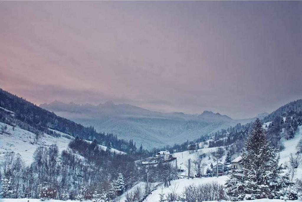 Pensiunea Aurora Izvorul Muntelui Bicaz Dış mekan fotoğraf