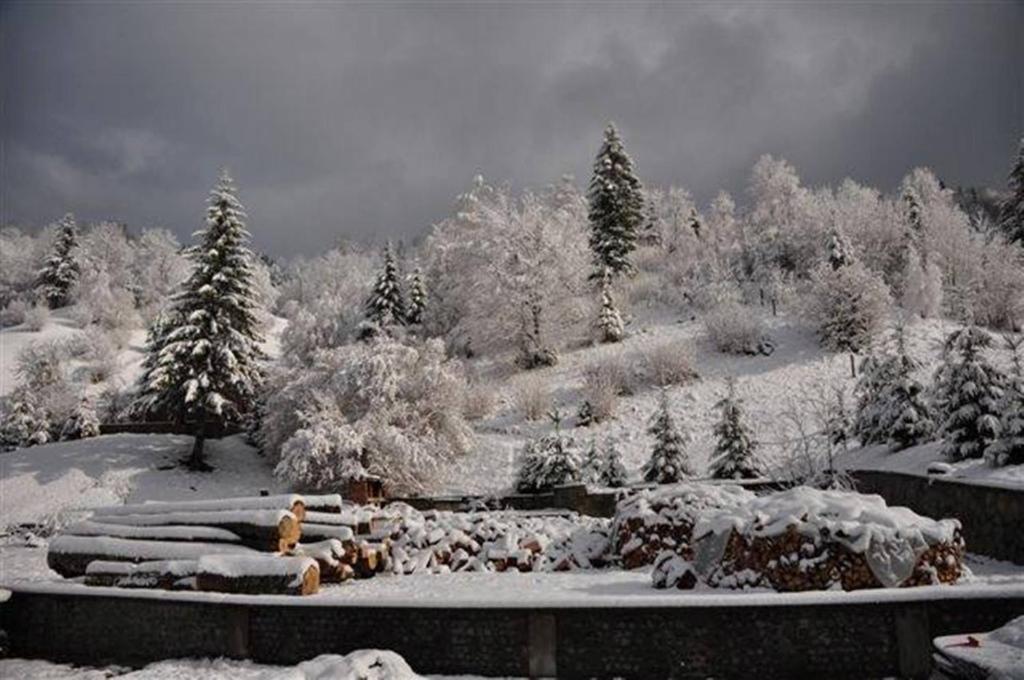 Pensiunea Aurora Izvorul Muntelui Bicaz Dış mekan fotoğraf