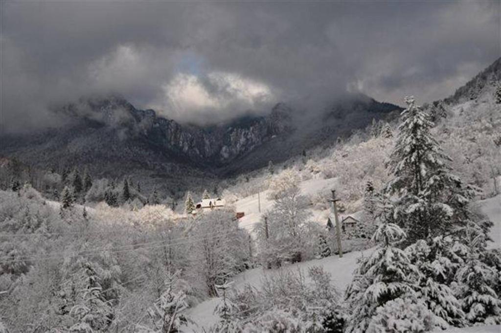Pensiunea Aurora Izvorul Muntelui Bicaz Dış mekan fotoğraf