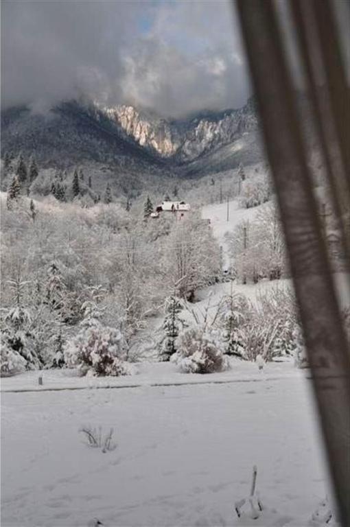 Pensiunea Aurora Izvorul Muntelui Bicaz Dış mekan fotoğraf