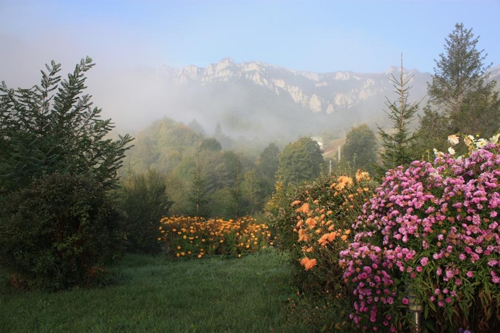 Pensiunea Aurora Izvorul Muntelui Bicaz Dış mekan fotoğraf